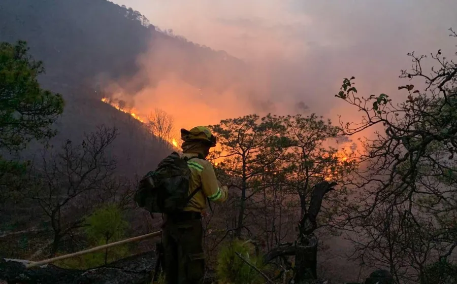 Atiende Coesfo incendio forestal en límites de Santiago Minas y Santa Catarina Juquila