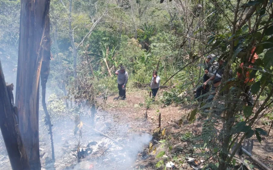 Controla Coesfo incendio forestal en San Isidro Huayápam