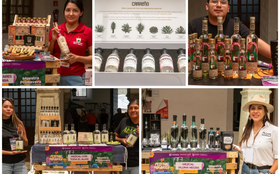 Abre sus puertas la Muestra Primavera: Mezcal, Nieves y Artesanías en Palacio Municipal