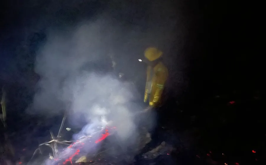 Controla Coesfo incendio forestal en Santa María Cortijo
