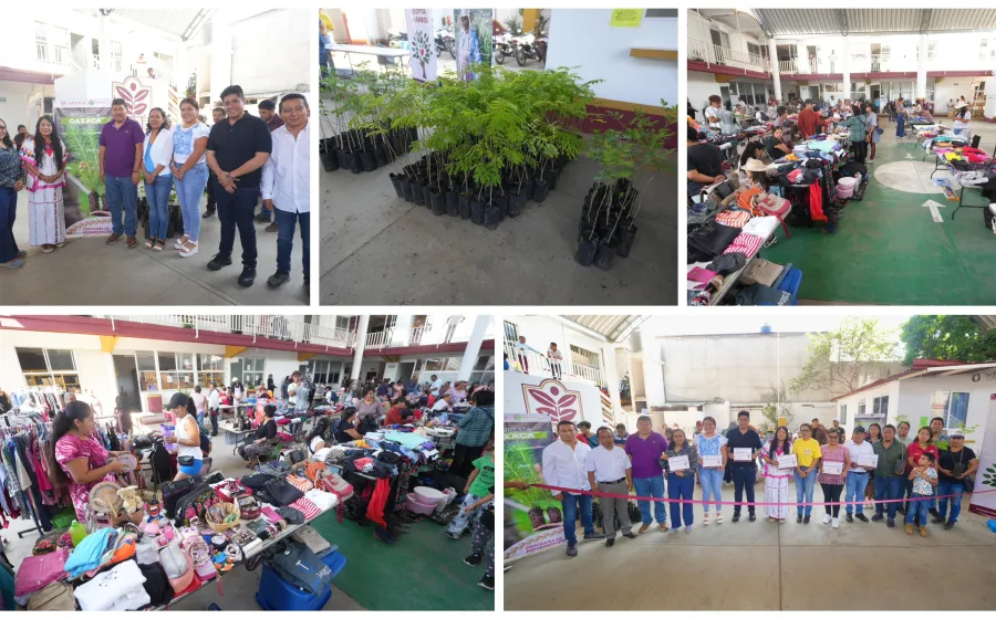 Con Mercadito y adopción de árboles, Xoxocotlán promueve cultura ambiental
