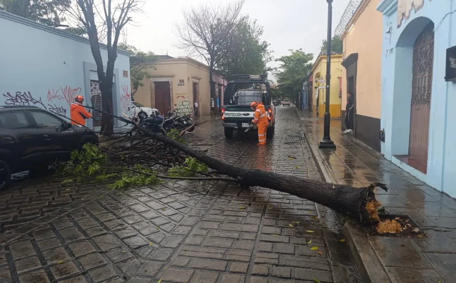 Activan Plan Lluvia Segura ante precipitaciones registradas esta tarde en la ciudad