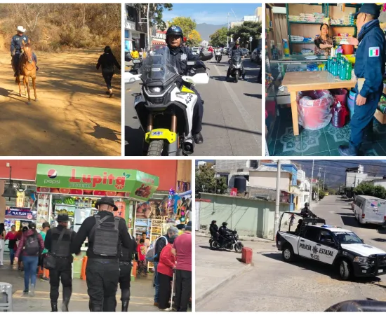 Informe de seguridad de Oaxaca de Juárez