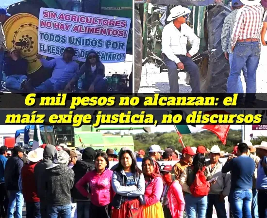 Sin maíz no hay país