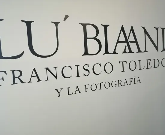 El legado de Toledo
